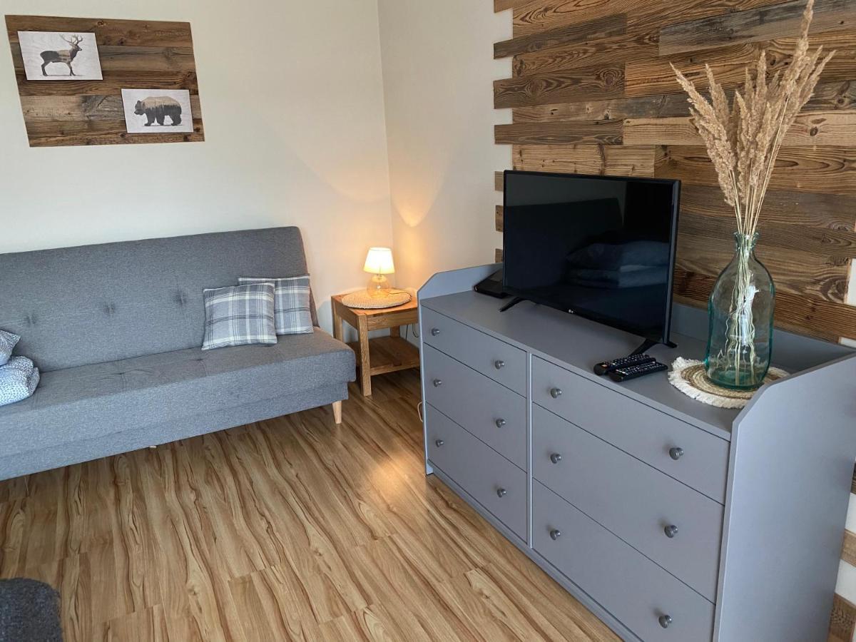 Apartamenty Przy Strumyku שצ'בניצה מראה חיצוני תמונה